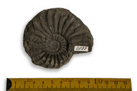 F 02023
<br/>
<br/>
<em></em>